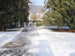 2010-Stadtpark-100