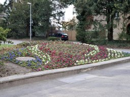 2010-Stadtpark-16