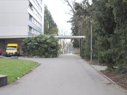 2010-Stadtpark-18