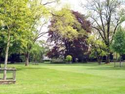 2010-Stadtpark-31