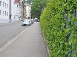 2010-Stadtpark-35