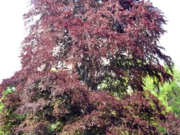 2010-Stadtpark-40