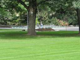 2010-Stadtpark-69