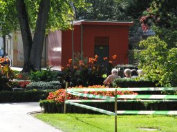 2010-Stadtpark-73