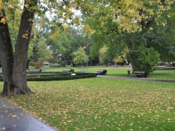 2010-Stadtpark-84