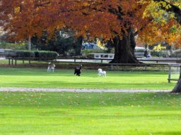 2010-Stadtpark-87
