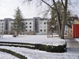2010-Stadtpark-99