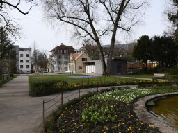 2025-3-Stadtpark-10