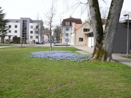 2025-3-Stadtpark-3