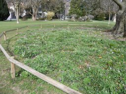 2025-3-Stadtpark-5