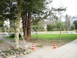 2025-3-Stadtpark-6