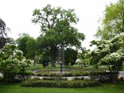 2025-5-stadtpark-10