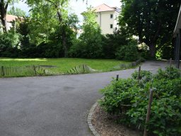 2025-5-stadtpark-2