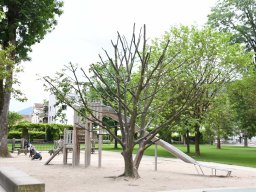 2025-5-stadtpark-7